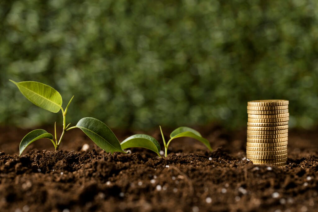 Young plants growing in soil beside stacked coins symbolizing long term land investment near Tambaram