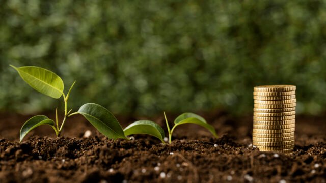 Young plants growing in soil beside stacked coins symbolizing long term land investment near Tambaram