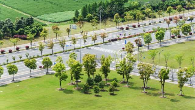 "An aerial view of a well-planned gated community layout in Chennai featuring wide blacktop roads, organized green landscaping, and young trees planted along the sidewalks."